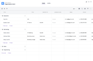 Organizational Chart Template